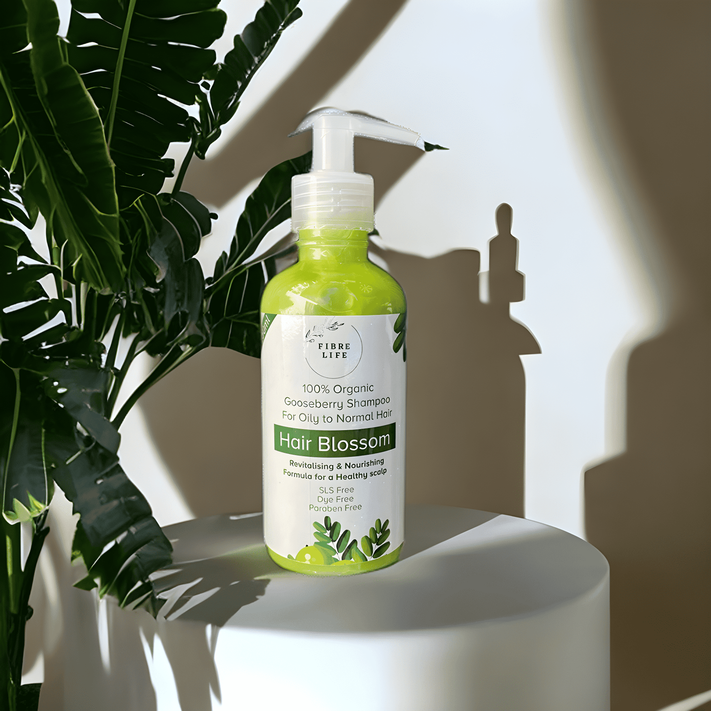 FibreLife Amla Shampoo strengthens roots, reduces hair fall, and boosts shine.
Organic amla shampoo nourishes the scalp and promotes healthy hair growth.
Herbal amla shampoo in Pakistan for thicker, stronger, and healthier hair.
Sulfate-free amla shampoo repairs damage and enhances natural hair texture.